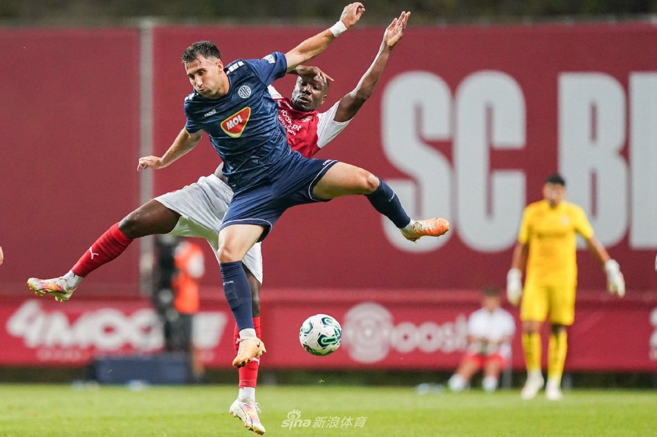 样的领袖型 样的领袖型